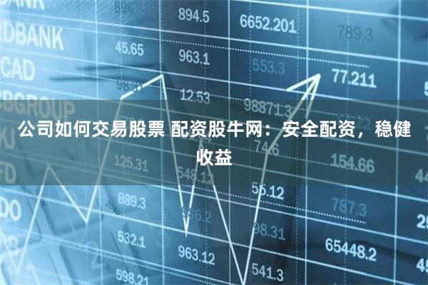 公司如何交易股票 配资股牛网：安全配资，稳健收益