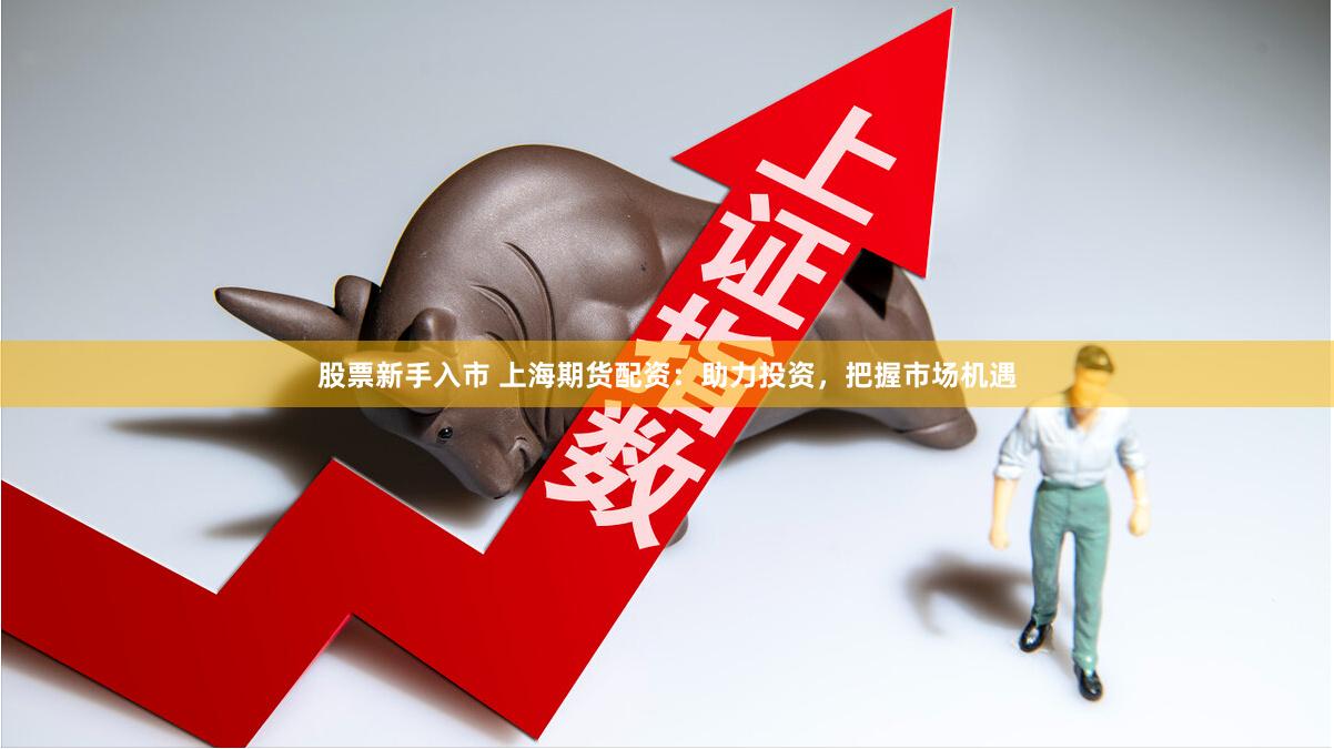 股票新手入市 上海期货配资：助力投资，把握市场机遇
